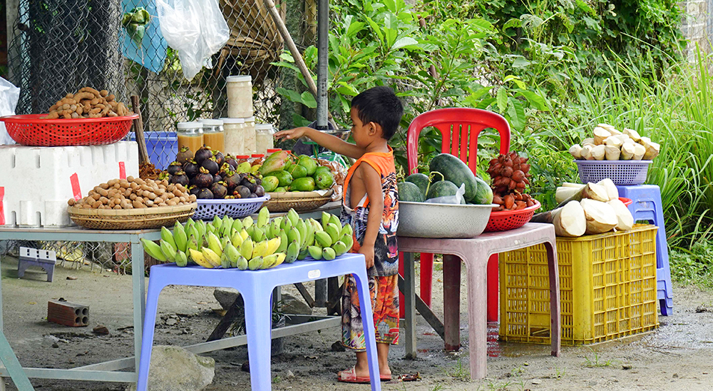 An Giang: Loại &quot;rau rừng&quot; ngon đặc biệt cứ hễ mưa xong là mọc lên như nấm càng ngày càng được &quot;săn lùng&quot; - Ảnh 15.