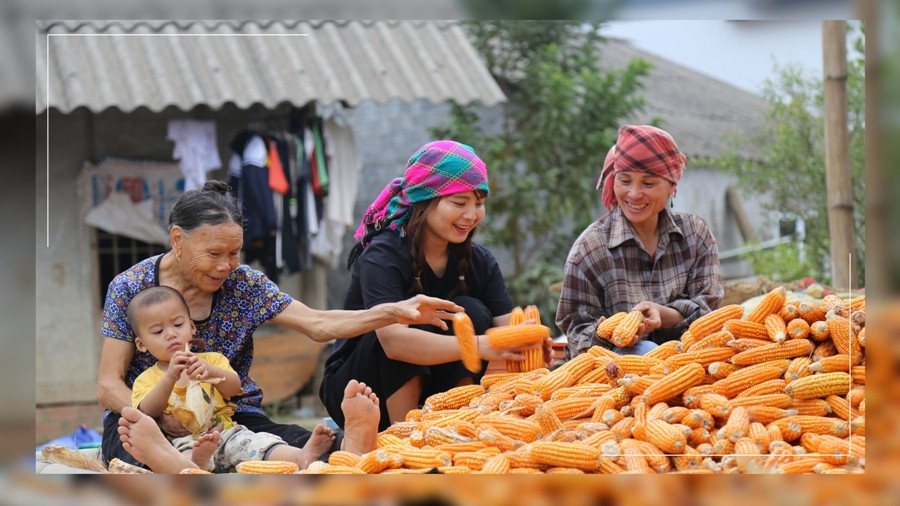 Kết nối hỗ trợ thanh niên khởi nghiệp kinh doanh, quảng bá nông sản trên nền tảng số - Ảnh 12.