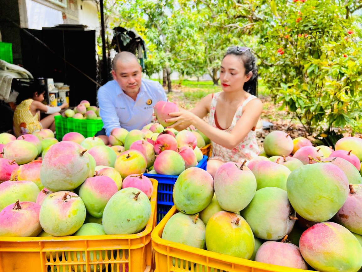 Khánh Hòa: Trên 67.000 hộ hội viên đăng ký nông dân sản xuất kinh doanh giỏi - Ảnh 4.