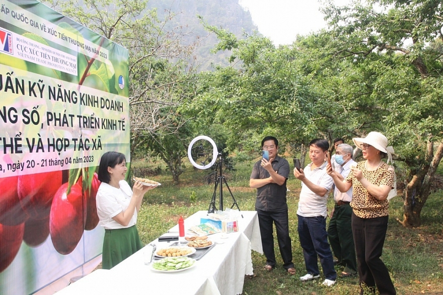 Kết nối hỗ trợ thanh niên khởi nghiệp kinh doanh, quảng bá nông sản trên nền tảng số - Ảnh 1.