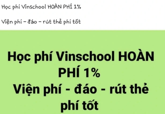 Giả danh phụ huynh Vinschool lừa đảo hàng tỷ đồng học phí - Ảnh 2.