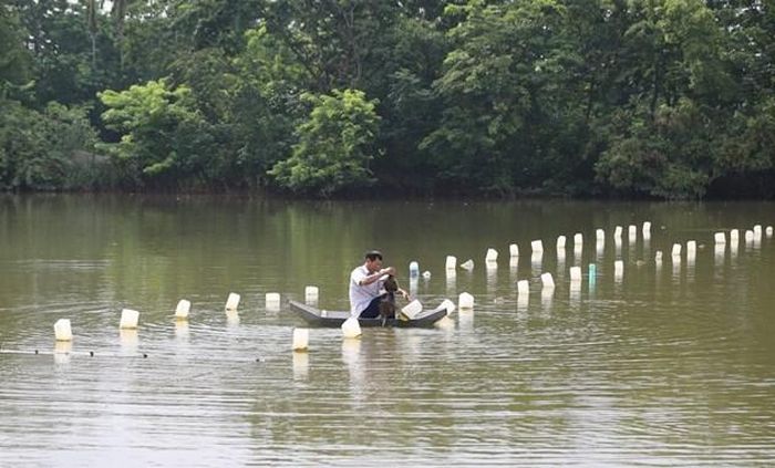 Nông dân Vĩnh Phúc háo hức chờ thu hoạch mô hình nuôi trai lấy ngọc - Ảnh 1.