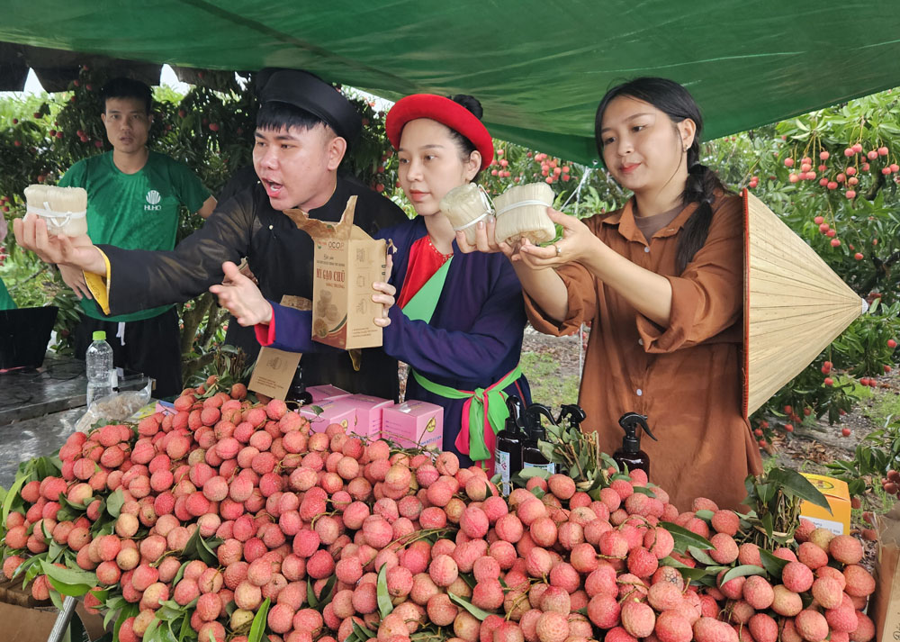 Kết nối hỗ trợ thanh niên khởi nghiệp kinh doanh, quảng bá nông sản trên nền tảng số - Ảnh 6.