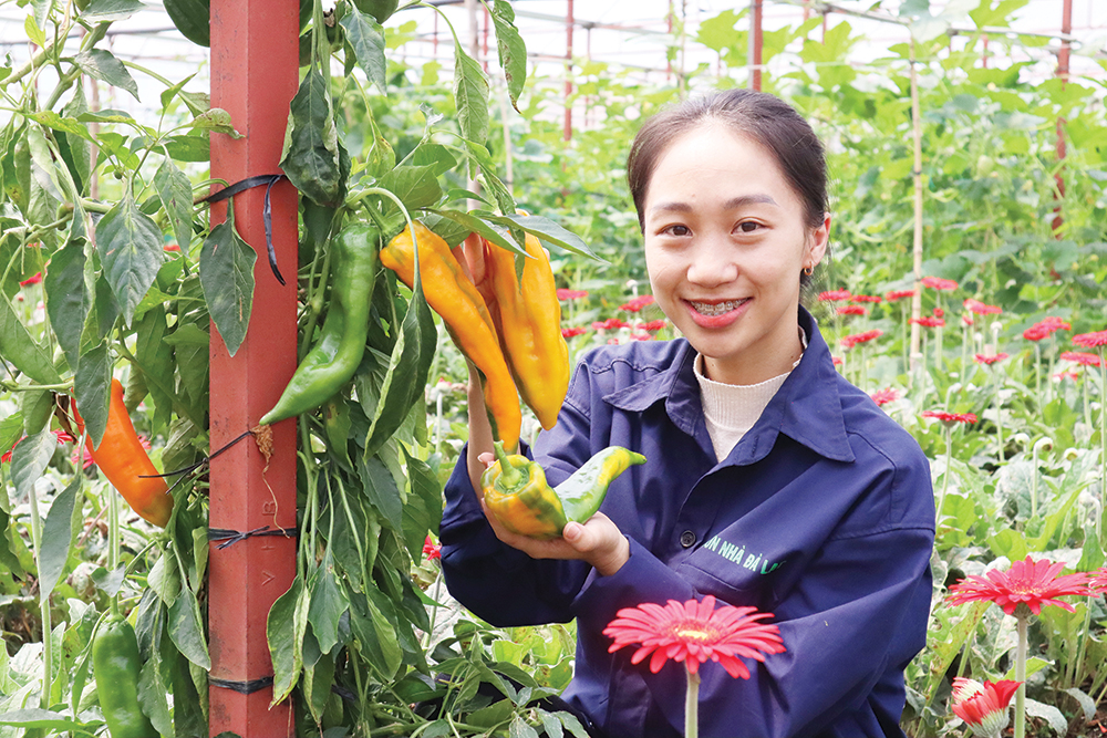 Bán hàng nông sản trên TikTok, TikToker Thảo Mola mang về doanh thu 1,2 tỷ đồng/tháng cho một HTX ở Lâm Đồng  - Ảnh 1.