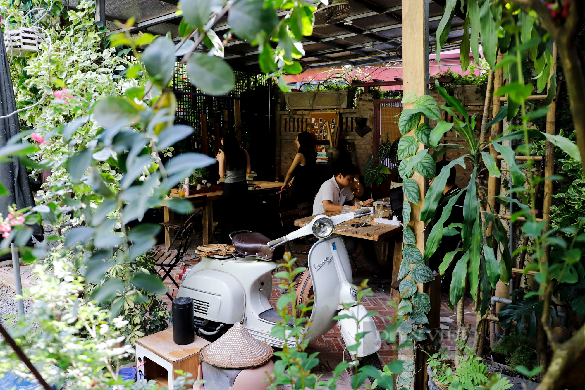 Quán cà phê như khu vườn nhiệt đới giữa lòng Hà Nội - Ảnh 6.