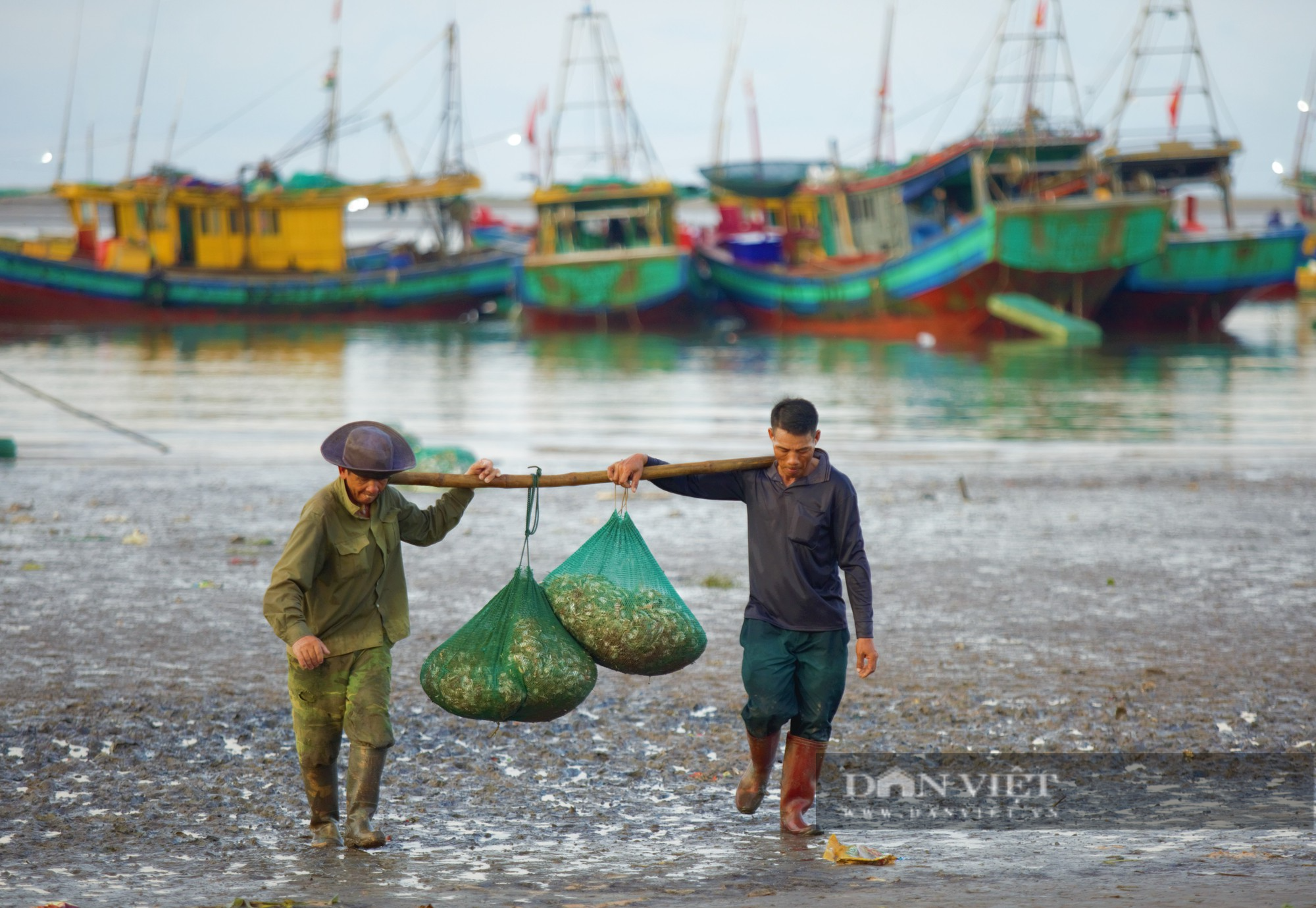 Tấp nập chợ cá Giao Hải ở Nam Định, thuyền vừa cập bến, thương lái đã tranh nhau thu mua hải sản - Ảnh 2.