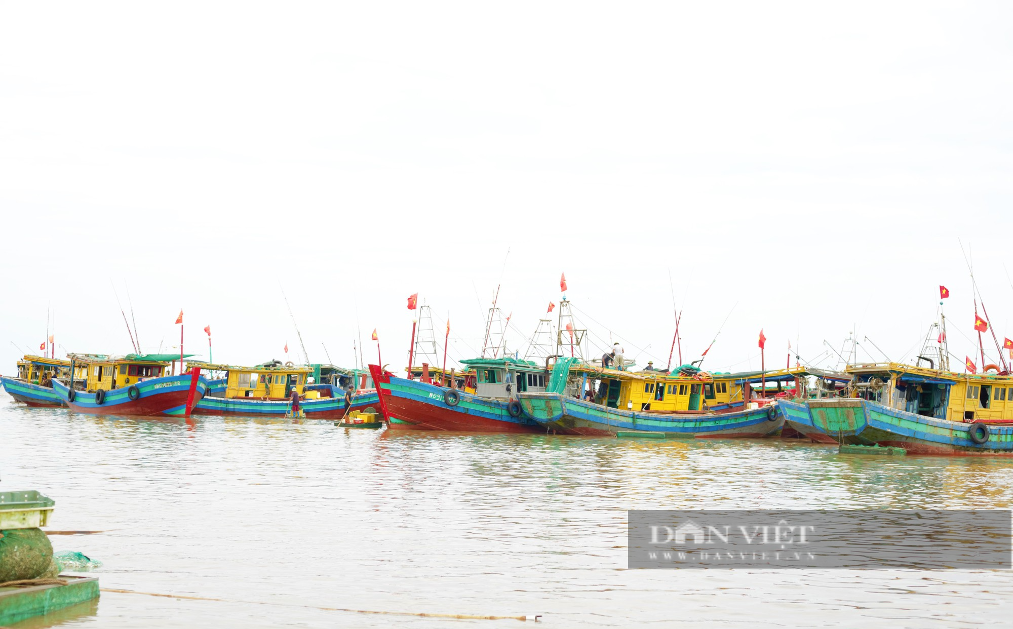Tấp nập chợ cá Giao Hải ở Nam Định, thuyền vừa cập bến, thương lái đã tranh nhau thu mua hải sản - Ảnh 3.