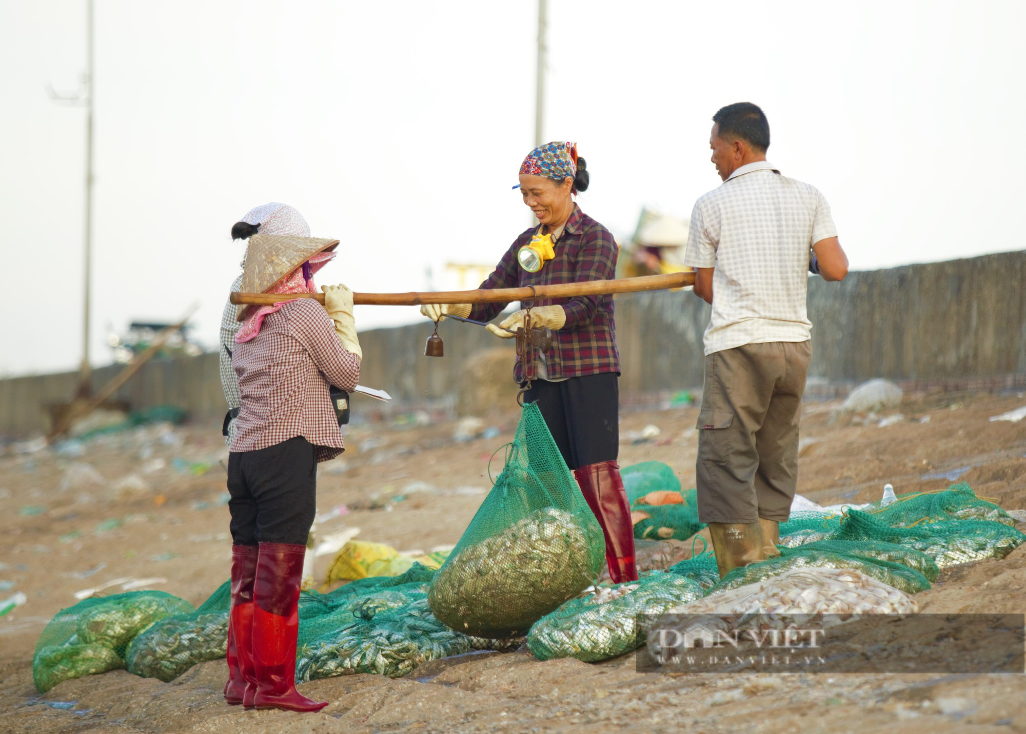 Tấp nập chợ cá Giao Hải ở Nam Định, thuyền vừa cập bến, thương lái đã tranh nhau thu mua hải sản - Ảnh 5.