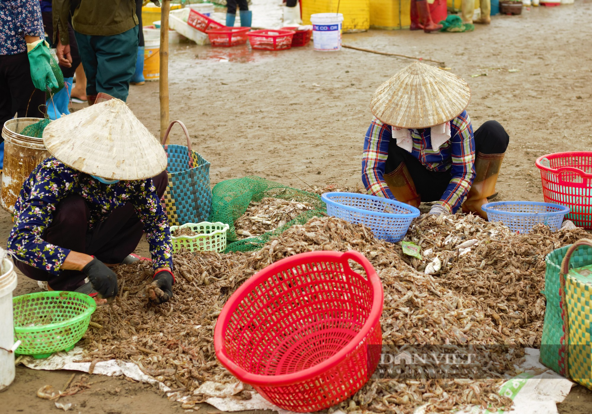 Tấp nập chợ cá Giao Hải ở Nam Định, thuyền vừa cập bến, thương lái đã tranh nhau thu mua hải sản - Ảnh 6.