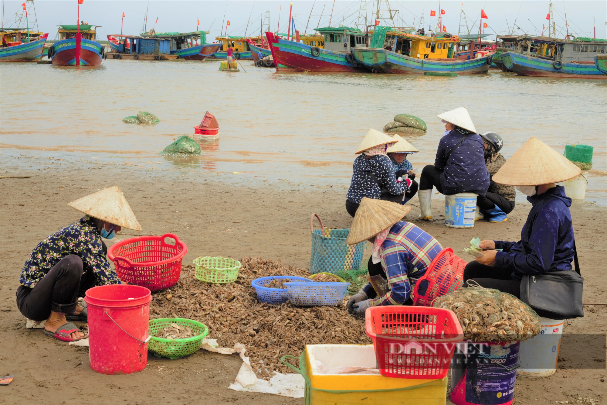 Tấp nập chợ cá Giao Hải ở Nam Định, thuyền vừa cập bến, thương lái đã tranh nhau thu mua hải sản - Ảnh 7.