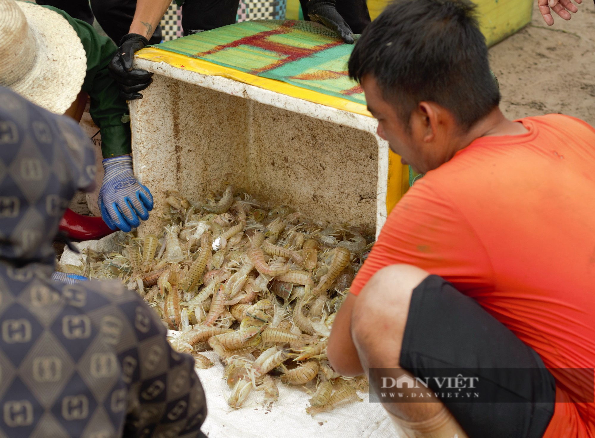 Tấp nập chợ cá Giao Hải ở Nam Định, thuyền vừa cập bến, thương lái đã tranh nhau thu mua hải sản - Ảnh 8.