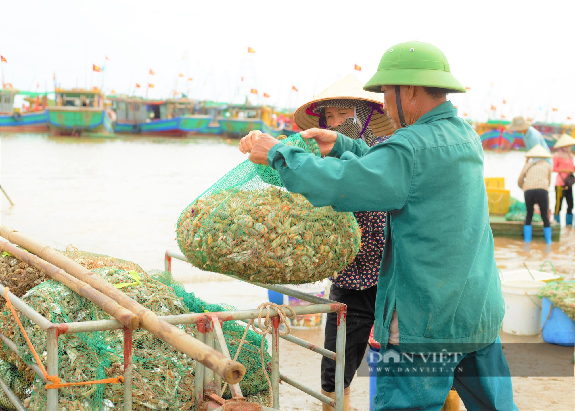 Tấp nập chợ cá Giao Hải ở Nam Định, thuyền vừa cập bến, thương lái đã tranh nhau thu mua hải sản - Ảnh 9.