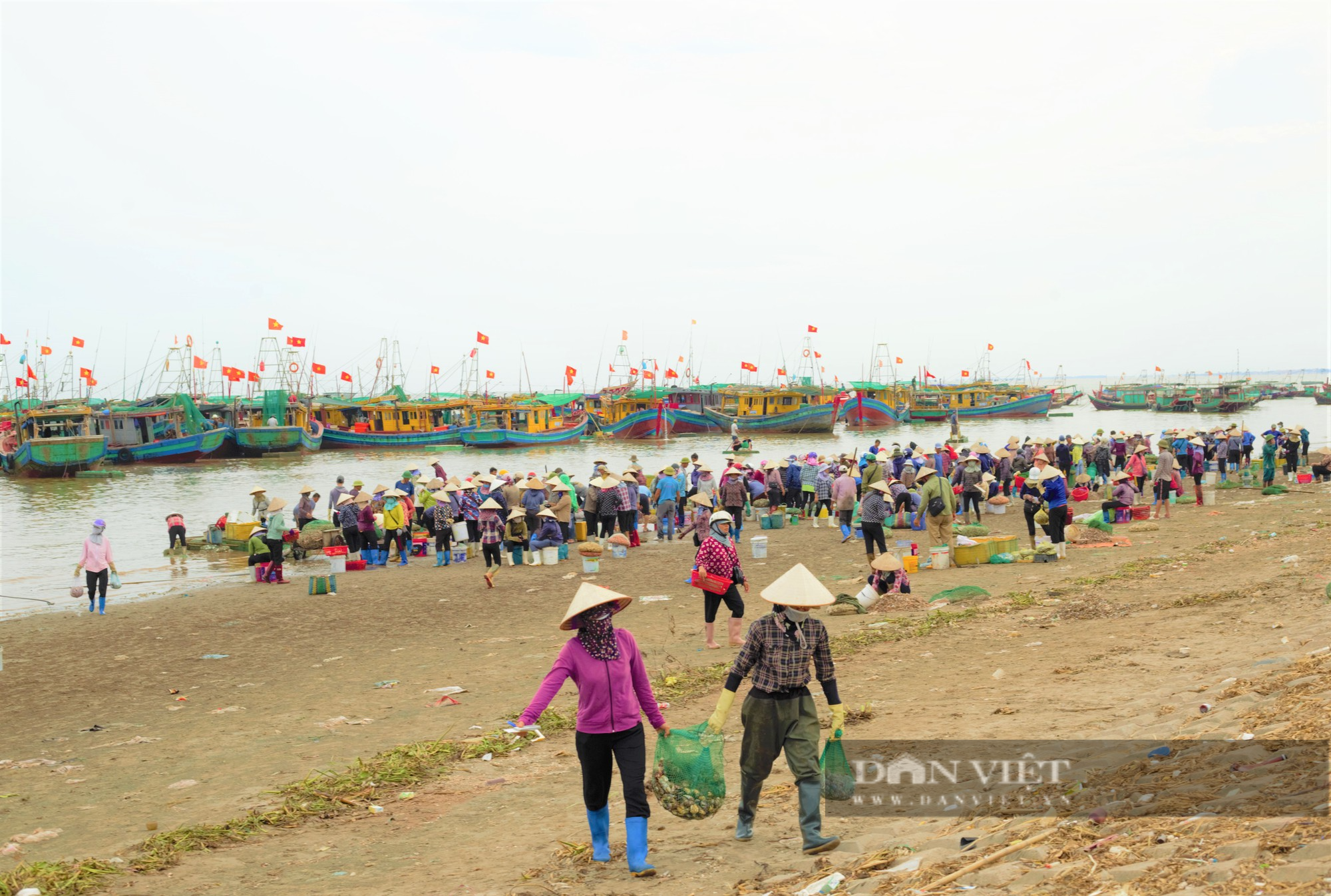 Tấp nập chợ cá Giao Hải ở Nam Định, thuyền vừa cập bến, thương lái đã tranh nhau thu mua hải sản - Ảnh 11.