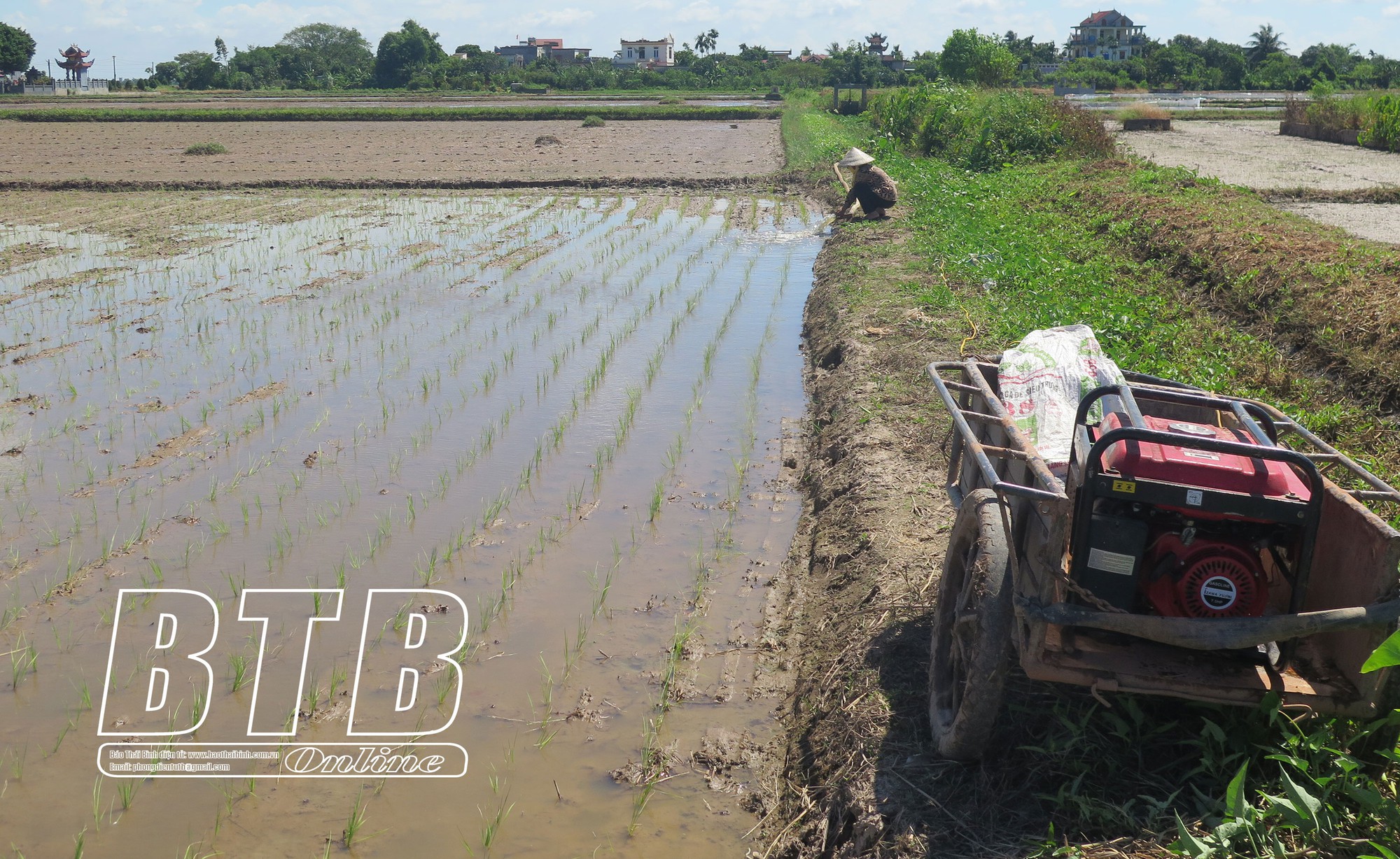 Đầu tư máy cấy mới từ 4 hàng lên 6 hàng, chị nông dân Thái Bình làm 20 mẫu ruộng mà nhàn tênh - Ảnh 2.