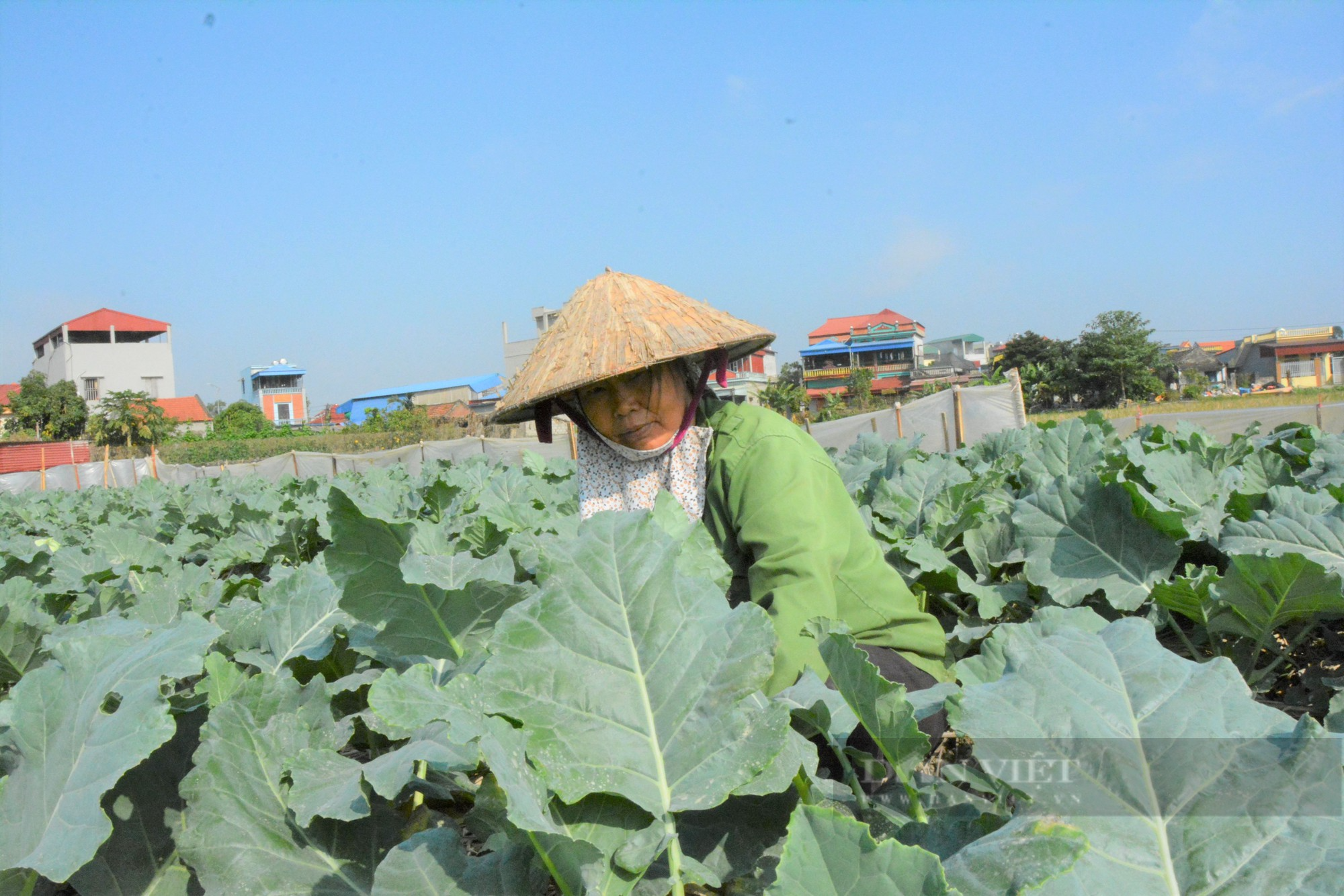 Nam Định: Thêm 2 xã đạt chuẩn nông thôn mới nâng cao, nông thôn mới kiểu mẫu năm 2022 - Ảnh 1.