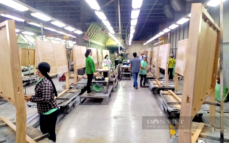 Hơn 1.500 công nhân của Công ty CP Green River Furniture (TP.Tân Uyên, Bình Dương) đã trở lại làm việc sau 3 ngày ngừng việc. Ảnh: Trần Khánh