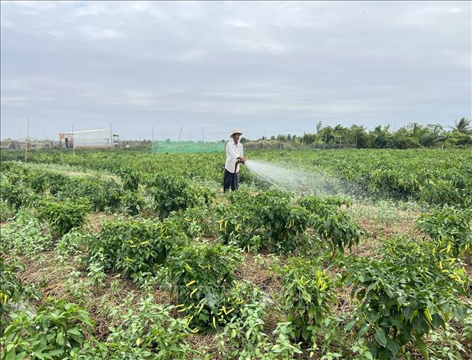 Chính sách đất đai cho đồng bào dân tộc thiểu số, những điểm mới cần chú ý - Ảnh 1.