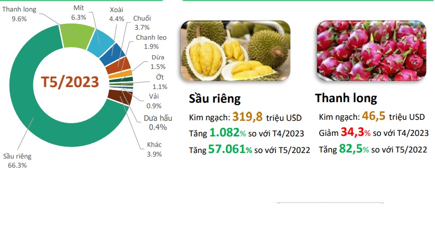 5 loại trái cây Việt Nam được Trung Quốc nhập khẩu nhiều nhất - Ảnh 3.