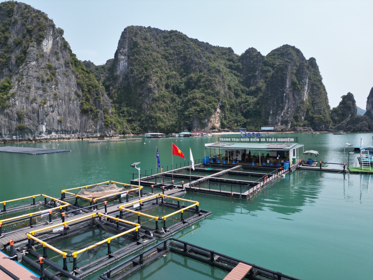 Phát triển nuôi biển ở Quảng Ninh: Nên mạnh dạn giao các khu vực nuôi trồng cho cá nhân? - Ảnh 5.