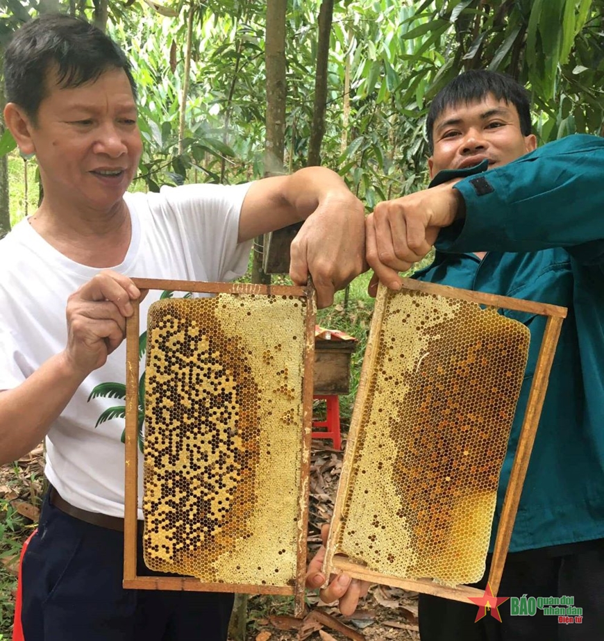 Mua mật ong rừng coi chừng mua phải mật ong &quot;dỏm&quot; - Ảnh 2.