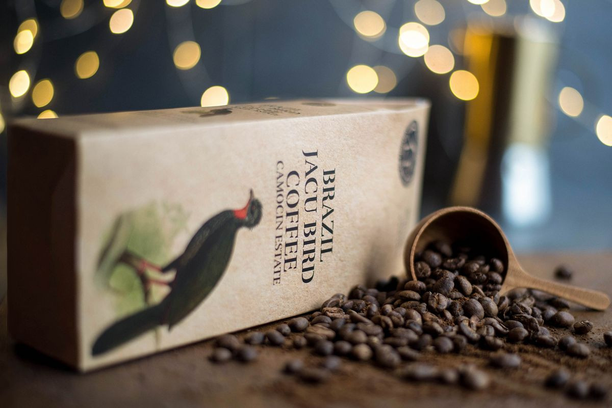 Loại cà phê có giá gần 1 cây vàng, được săn lùng nhiều nhất trên thế giới lại được thu hoạch thế này - Ảnh 7.