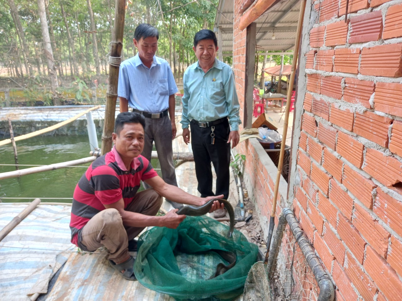 Nuôi thứ cá dài ở Tây Ninh, ăn bổ dưỡng, khỏe người, ví như nhân sâm nước, nhiều người tới xem - Ảnh 2.
