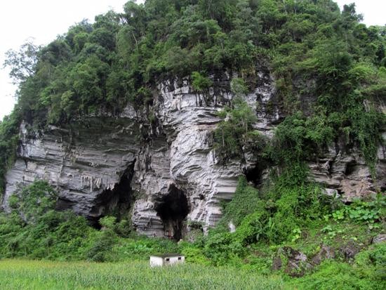 Một hang động núi đá vôi đẹp như phim ở Bắc Kạn, thạch nhũ hình thù kỳ dị, dân đồn có tiếng hú lạ - Ảnh 2.