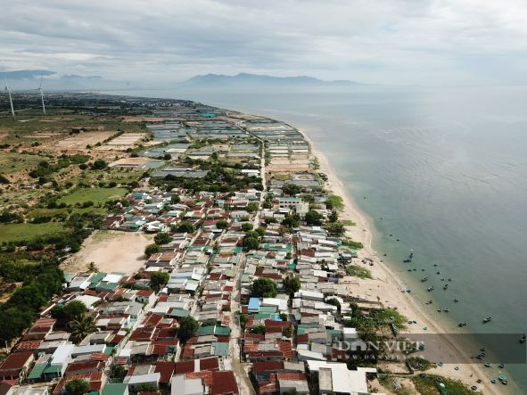 Hủy thông báo thu hồi đất để đảm bảo quyền lợi người dân vùng dự án điện hạt nhân Ninh Thuận - Ảnh 6.