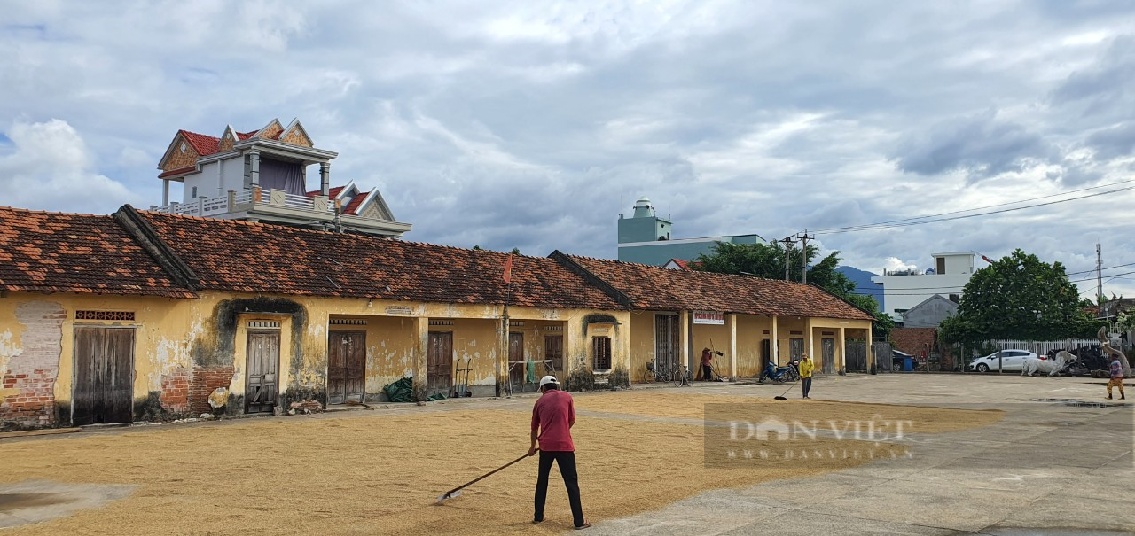 Một nông dân ở Khánh Hòa  mạnh dạn cầm sổ đỏ vay vốn, giờ trở thành tỷ phú - Ảnh 7.