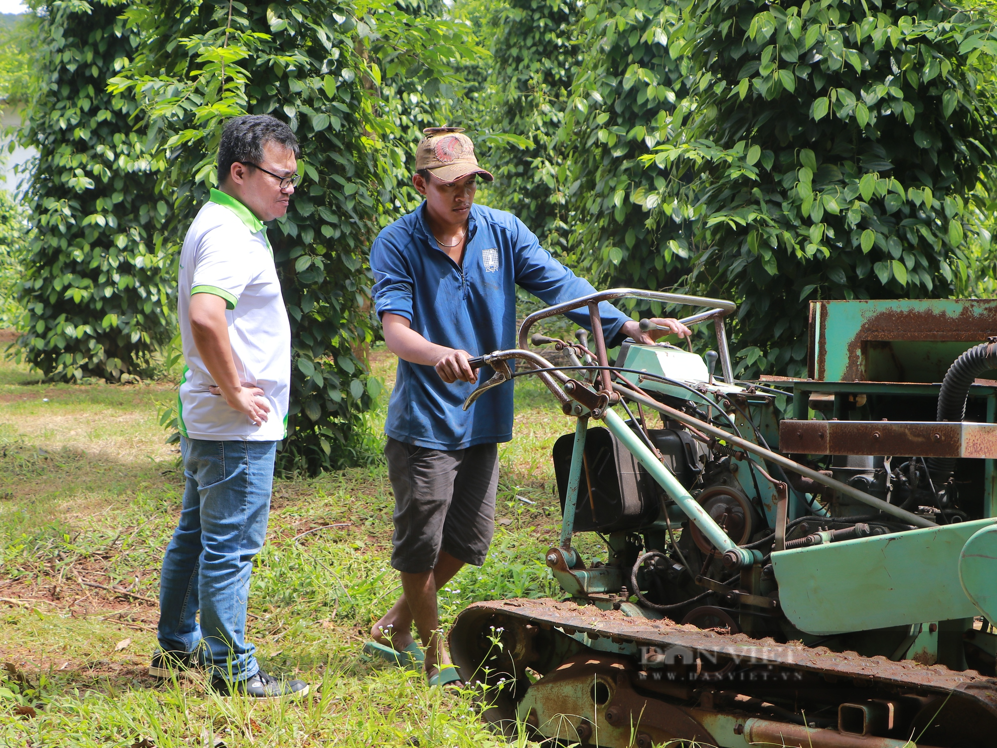 Người trẻ làm nông dân (bài cuối): Người trẻ làm nông và câu chuyện nhân nguồn lực của nông nghiệp nước nhà  - Ảnh 4.