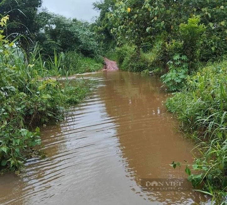 Một người đàn ông bị mất tích do mưa bão ở Đắk Nông - Ảnh 1.