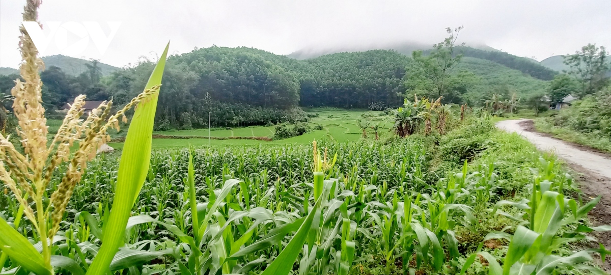 500 lá đơn xin thoát nghèo và &quot;câu chuyện tự trọng&quot; ở Quảng Ninh - Ảnh 2.