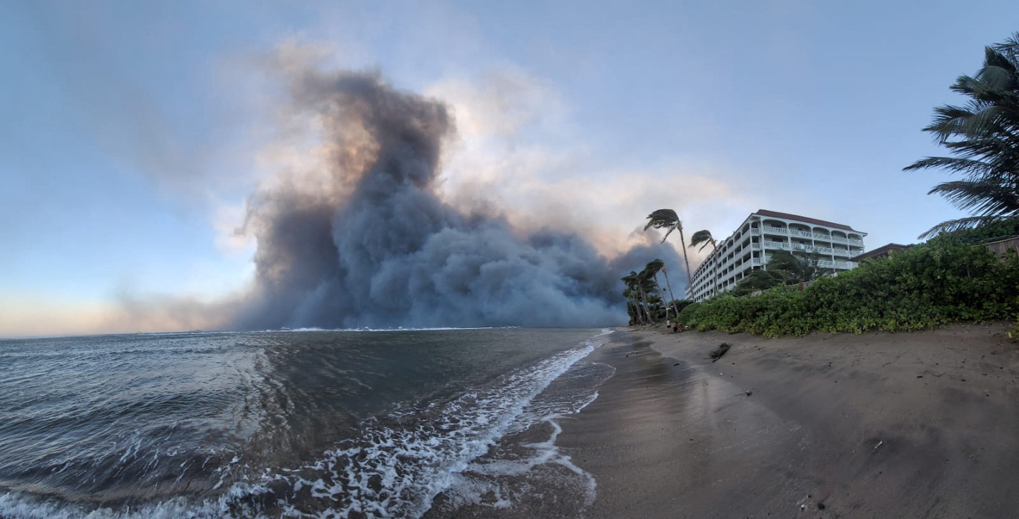 36 người chết trong trận cháy rừng &quot;như phim kinh dị&quot; ở Hawaii - Ảnh 2.