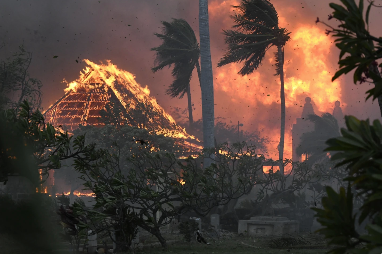 36 người chết trong trận cháy rừng &quot;như phim kinh dị&quot; ở Hawaii - Ảnh 1.