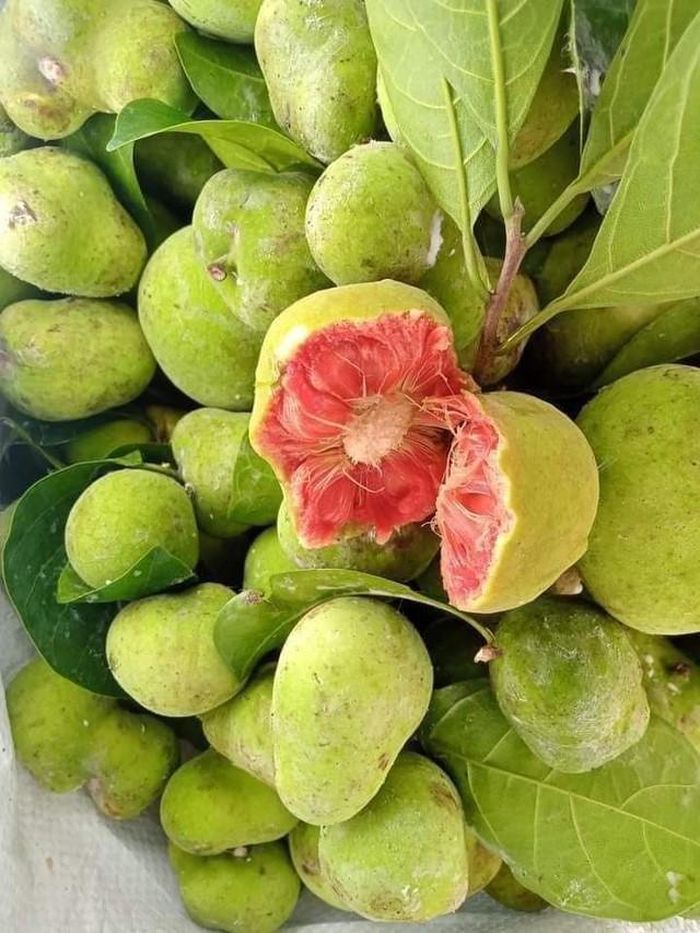 Một loại quả vị chua chua, ruột hồng bắt mắt giá ngang trái cây nhập khẩu ở Hà Nội mà vẫn đắt khách - Ảnh 1.
