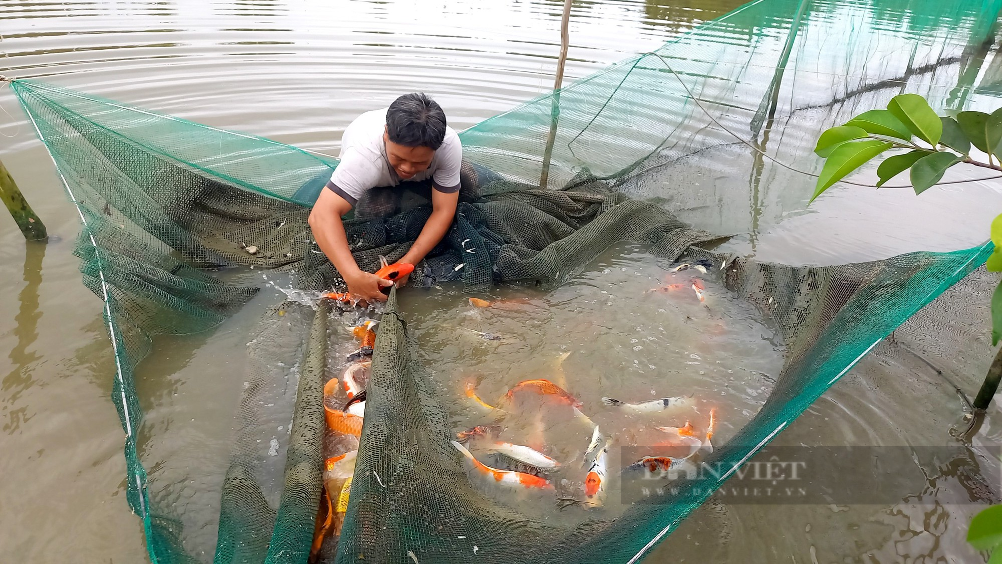 Huyện Bình Chánh tăng cường giải pháp phát triển những làng nghề giúp nông dân trở thành tỷ phú - Ảnh 3.