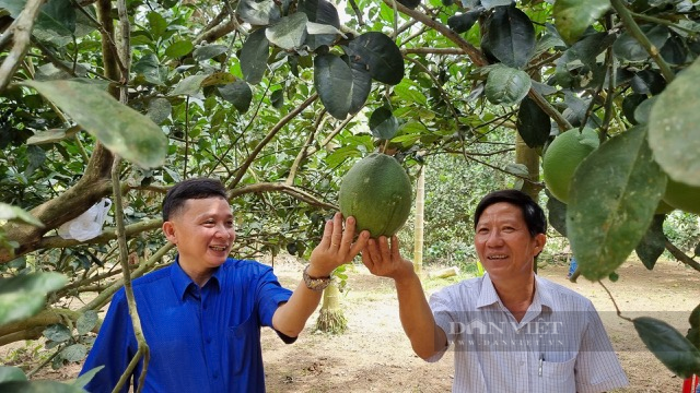 Nông dân tỉnh Quảng Ngãi dấu ấn một chặng đường - Ảnh 23.