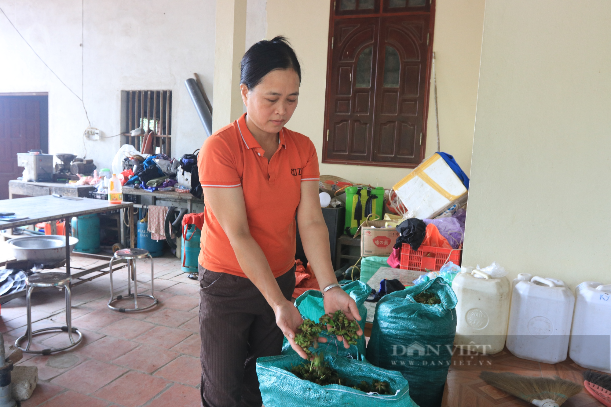 Nông dân sản xuất giỏi ở Lạng Sơn khởi nghiệp với 1 sào ruộng. - Ảnh 2.