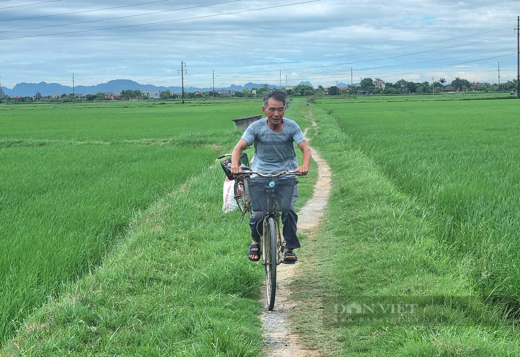 Chuyển đổi số ở Ninh Bình, chuyển văn bản giấy thành giọng nói hay - Ảnh 7.