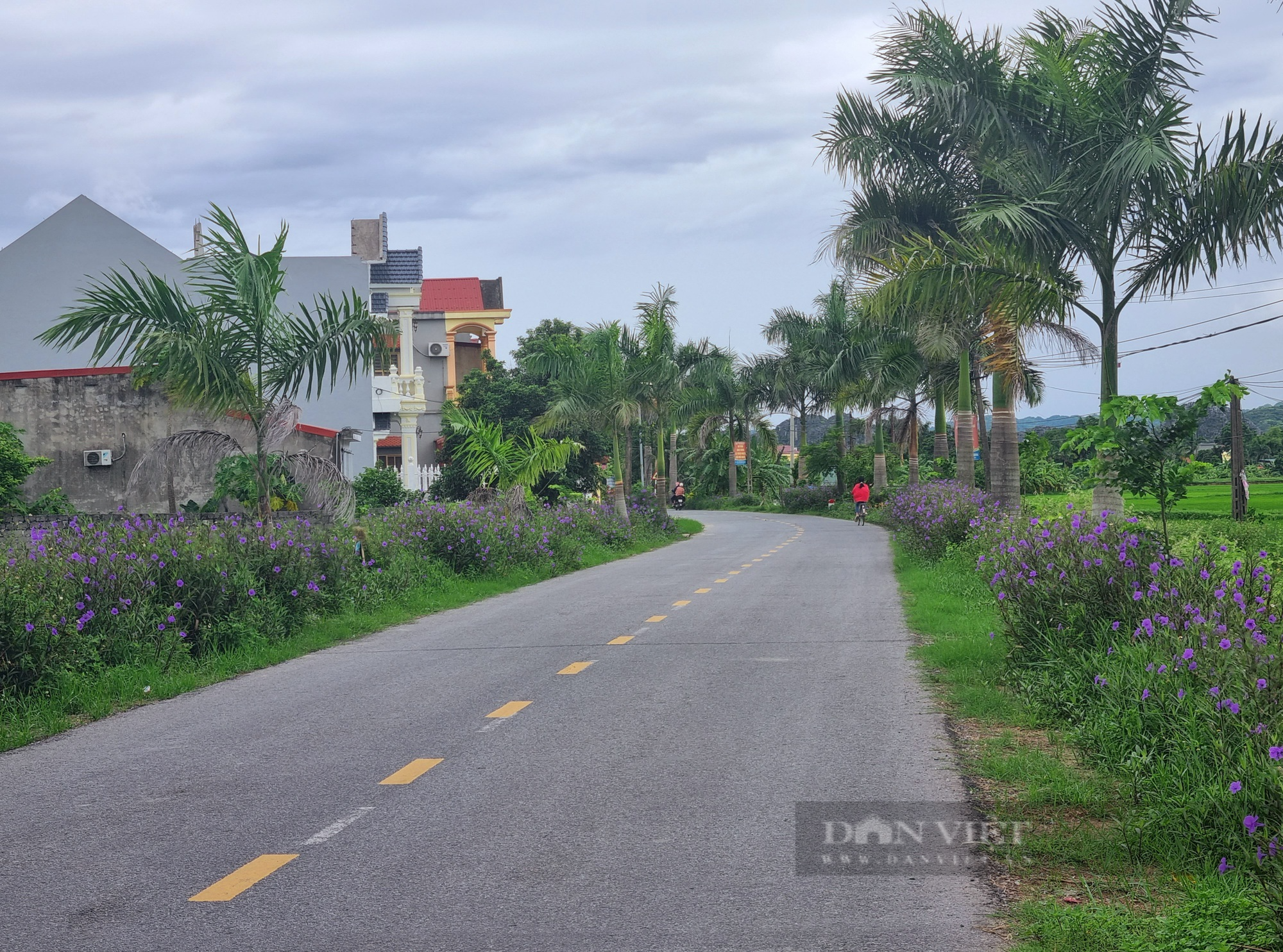 Chuyển đổi số ở Ninh Bình, chuyển văn bản giấy thành giọng nói hay - Ảnh 13.