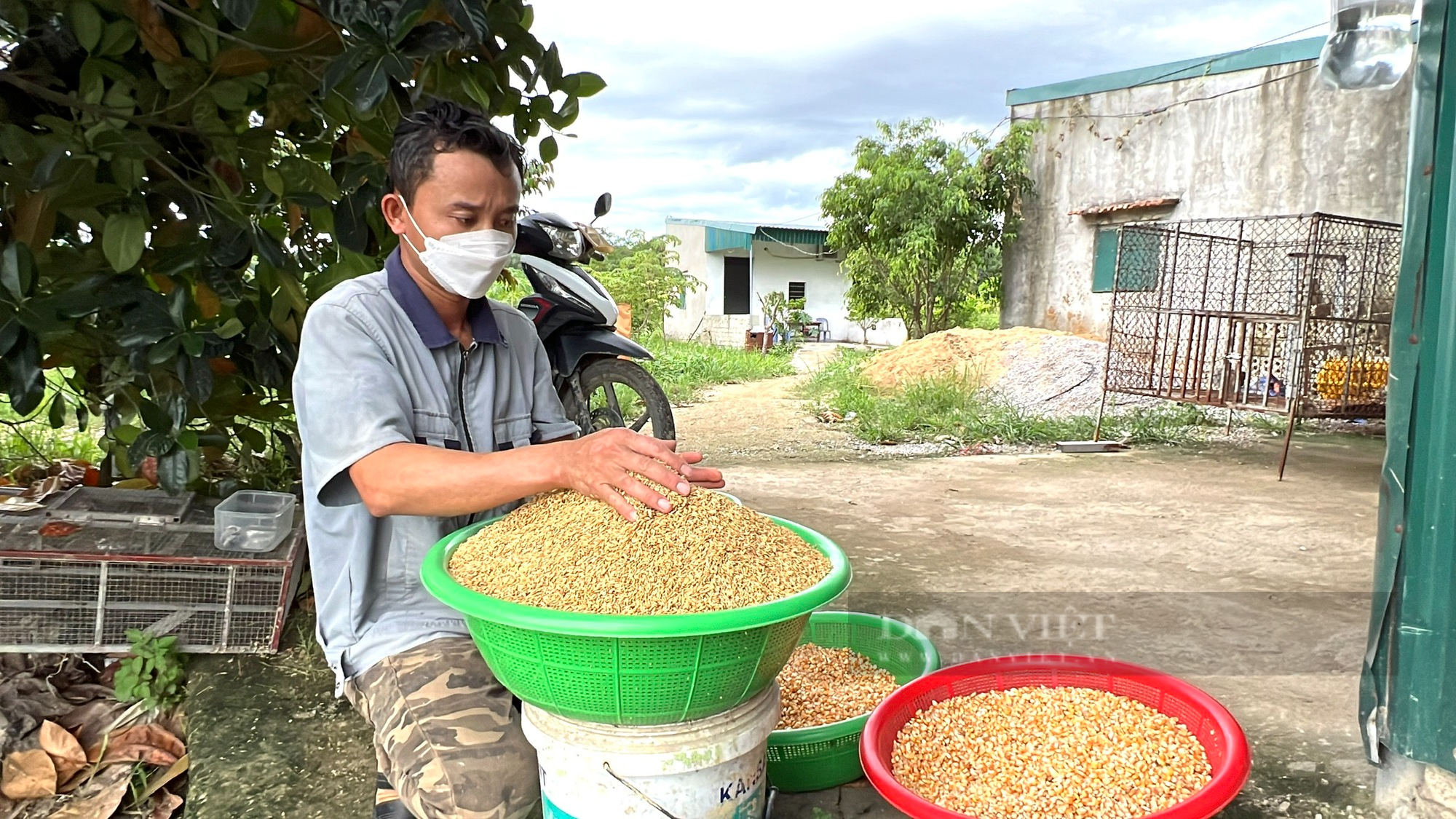 Bỏ nghề &quot;viễn thông&quot; về nuôi chim bồ câu Pháp, anh nông dân Thanh Hoá bật mí cách kiếm 30 triệu đồng/tháng - Ảnh 7.