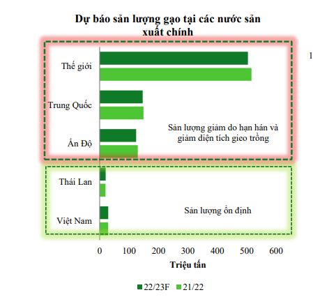 Giá gạo duy trì mức cao, Việt Nam gặp cơ hội &quot;kép&quot; - Ảnh 1.