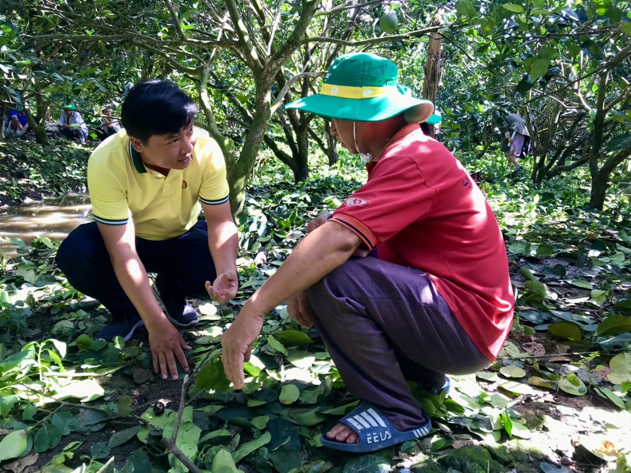 Cây ăn trái vùng ĐBSCL đối mặt với đất phèn và nhữn giải pháp chủ động - Ảnh 4.