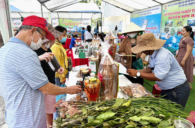 Phó Chủ tịch Hội NDVN Đinh Khắc Đính: Hội ND Quảng Ngãi tiếp tục nâng cao hiệu quả giám sát, phản biện xã hội- Ảnh 4.