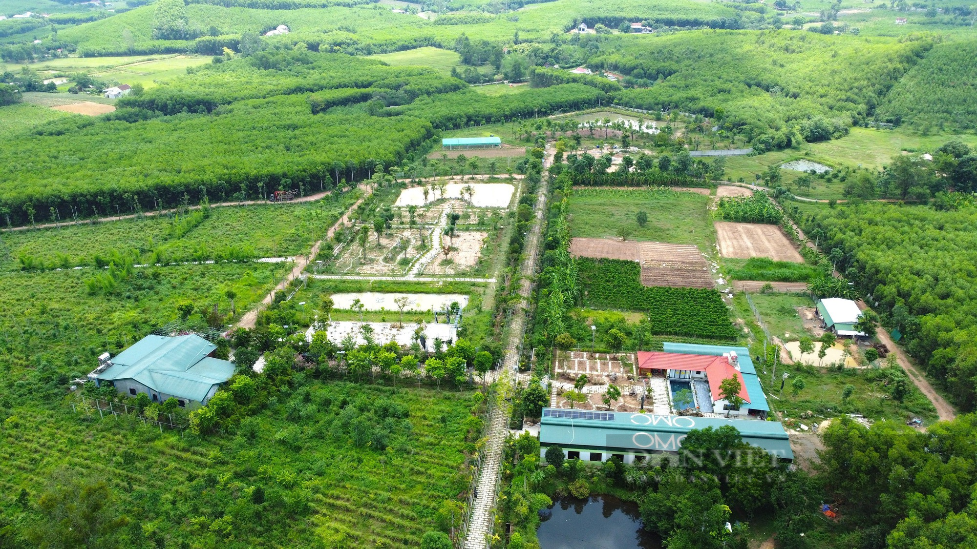 Cận cảnh khu vườn sinh thái thảo dược đẹp như tranh trên núi huyện Yên Thành - Ảnh 3.