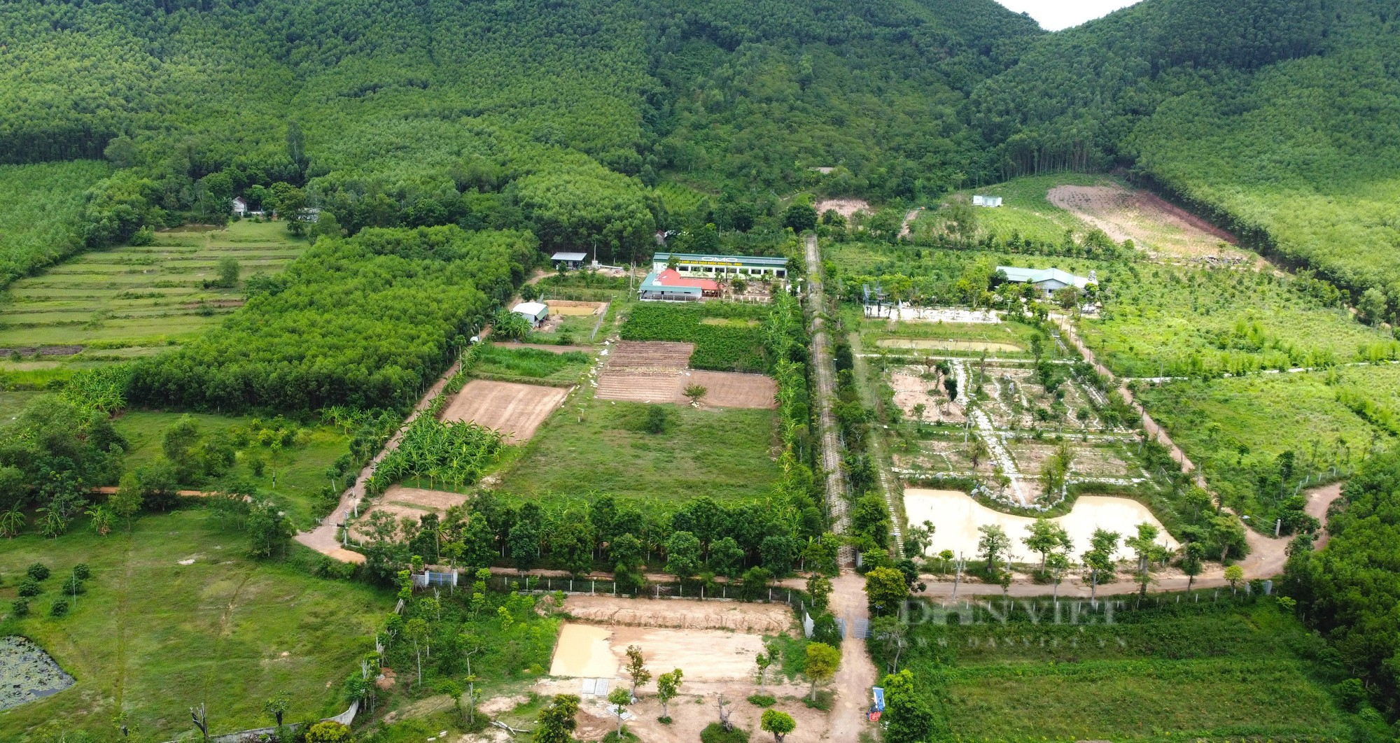 Cận cảnh khu vườn sinh thái thảo dược đẹp như tranh trên núi huyện Yên Thành - Ảnh 4.