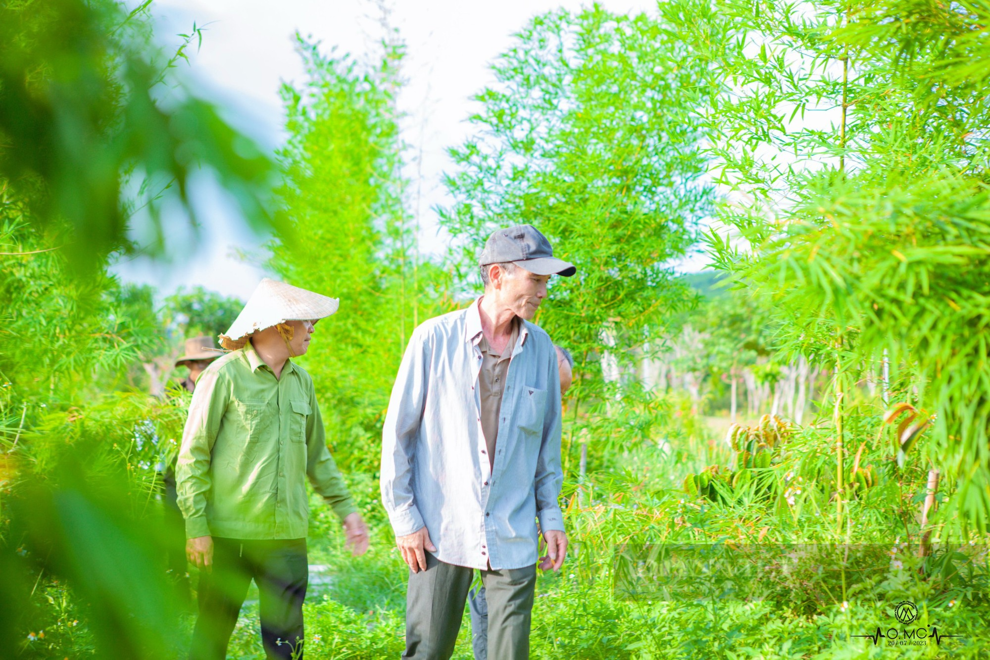 Cận cảnh khu vườn sinh thái thảo dược đẹp như tranh trên núi huyện Yên Thành - Ảnh 9.