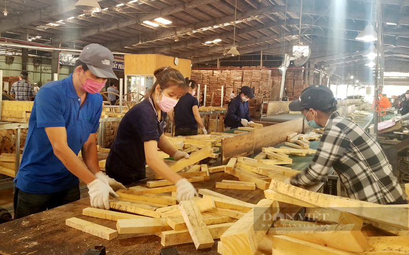 Người lao động trong ngành gỗ đang gặp nhiều khó khăn do doanh nghiệp giảm đơn hàng. Ảnh: Trần Khánh