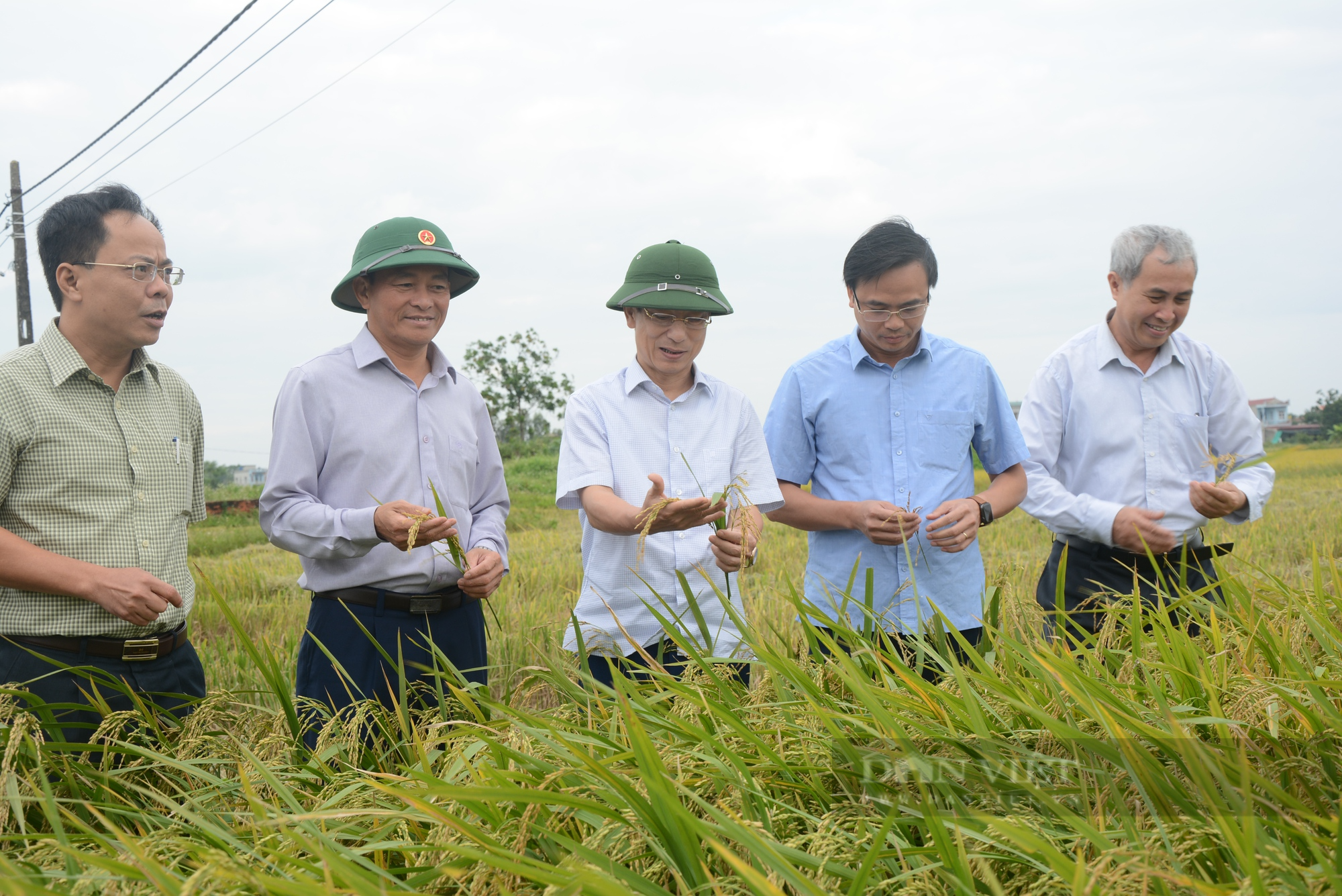 Tái cơ cấu ngành nông nghiệp Nam Định: Giảm trồng trọt, đẩy mạnh phát triển chăn nuôi và thủy sản - Ảnh 1.