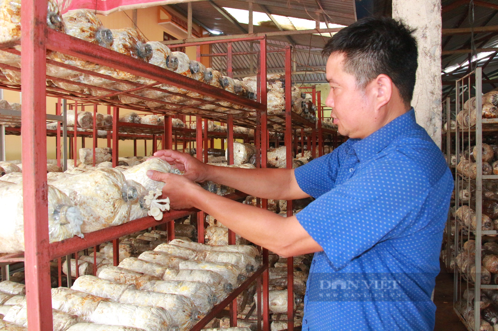 Tái cơ cấu ngành nông nghiệp Nam Định: Giảm trồng trọt, đẩy mạnh phát triển chăn nuôi và thủy sản - Ảnh 3.